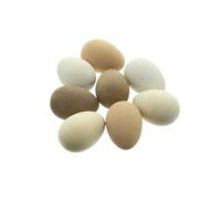 FRANK FLECHTWAREN Huevos de Pascua naturales, juego de 8 unidades, madera, dimensiones: altura 6 cm