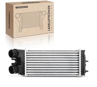Frankberg 1 x Intercooler Turbokühler Compatible con Berlingo 2005-2011 Xsara Picasso 2004-2011 Partner 2005-2015 Replace # 9645965180