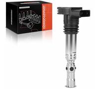 Frankberg 1x Bobina de encendido Compatible con A3 A4 A6 TT Octavia Superb Cordoba Exeo Ibiza III IV Leon Toledo II P.a.s.s.a.t B.o.r.a Golf IV Polo Sustituir# 06B905115D