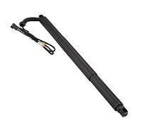 Frankberg 1x Resorte de Gas Eléctrico Amortiguador de Gas Portón trasero Izquierdo Compatible con X4 F26 M40 xDrive20 xDrive28 xDrive30 xDrive35 SUV 2014-2018 Sustituir# 51247339431