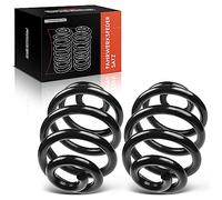 Frankberg 2x Muelle Resortes de Chasis Arrière Gauche Droite para Kangoo KC0/1 Express FC0/1 1.6L 1.9L Van Transporter 2001-2008 Sustituir# 8200041470