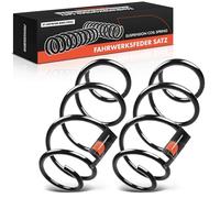 Frankberg 2x Muelles de chasis Muelles de suspensión Compatible con Clase C T-Model S204 Clase C W204 Replace# RH3928