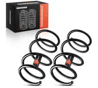 Frankberg 2x Muelles de chasis Muelles de suspensión Compatible con Kangoo KC0/1 1.9 dCi 4x4 1.6 16V 4x4 2001-2008 Replace# 8200143335,RA3506