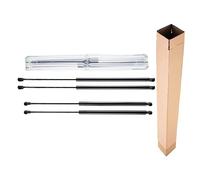 Frankberg 4x Amortiguador de gas Luneta trasera Portón trasero Compatible con C4 Picasso I MPV UD 2008-2013 Replace# 8731P1 8731P2