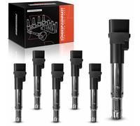 Frankberg 6x Bobinas de encendido Gasolina Compatible con TT 8J3 3.2L Passa.t Variante 3C5 3.2L A3 Sportback 8PA 3.2L Golf IV 1J1 3.2L TT R.o.a.d.s.t.e.r 8J9 3.2L 022905100B