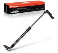 Frankberg Amortiguador de gas portón trasero Izquierda Compatible con Yaris P1 Compacto 2002-2005 Yaris SCP1 NLP1 NCP1 Compacto 1999-2005 Replace# 6896005925