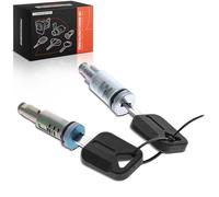 Frankberg Cilindro de cerradura para puerta con 2 cilindros de metal, compatible con FM FH Replace# 30904842C2K