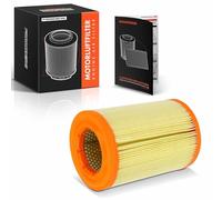 Frankberg Elemento de filtro de aire 044129620