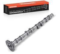 Frankberg Empujador de válvula Árbol de levas Compatible con X3 F25 2.0L Serie 3 Touring F31 2.0L Serie 5 Touring F11 2.0L X1 E84 2.0L X3 E83 2.0L Replace# 11318506077