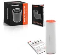 Frankberg Filtro de aire Cartucho filtrante Motor Compatible con Serie 5 Touring E61 3.0L X5 E70 3.0L Serie 5 E60 3.0L Serie 3 Touring E91 3.0L X3 E83 3.0L Replace# PHE000040,13712247444