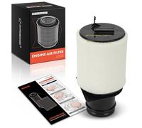 Frankberg Filtro de aire del motor de gasolina compatible con R8 422 423 5.2L 2014-2015 R8 Spyder 427 429 5.2L 2014-2015 Replace# 420133844E