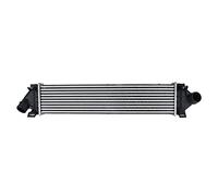 Frankberg Intercooler turbador compatible con C-Max DM2 2007-2010 Focus C-Max 2003-2007 Focus II 2004-2012 Focus III 2010-Heute Grand C-Max 2010-2015 Replace# 3M5H9L440AE