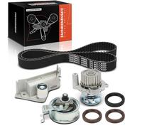 Frankberg Juego de correas de distribución Correa de distribución Bomba de agua Compatible con A3 8VM 8VS A4 8K2 8W2 8WC Pas.sat 3G2 CB2 Golf VII 5G1 BE1 BE2 BQ1 Cad.dy IV SAB SAJ Oct.avia III