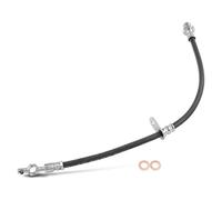 Frankberg Manguera de freno compatible con P.um.a 2020-2025 Brake Hydraulic Hose Rear Left or Right with drum brakes on the rear axle Replace# L1TC2C338AC