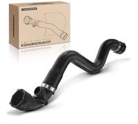 Frankberg Manguera de refrigerante Manguera del Motor Compatible con Serie 3 E46 318i Serie 3 E46 316i Serie 3 Touring E46 318i Serie 3 Coupé E46 318 Ci Serie 3 Coupé E46 316 Ci Replace# 01622685308