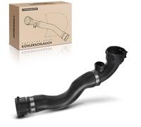 Frankberg Manguera de refrigerante Manguera del Motor Gasolina Compatible con Serie 3 cabrio E46 2.2L Serie 3 E46 2.2L Serie 3 cabrio E46 3.0L Serie 3 Touring E46 2.2L Serie 3 E46 2.0L 17127510952