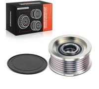 Frankberg Polea Alternador Rueda Libre Alternador con 6 Ranuras Compatible con Rexton W/Rexton Korando CK Actyon II Actyon Sports I QJ Rodius II Replace# 6621553415