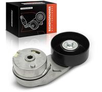 Frankberg Polea guía de rodillos Gasolina Compatible con Astra J GTC 2.0L Insignia A Berlina G09 2.0L Insignia A G09 2.0L Captiva C100 C140 2.4L 9-3 Cabrio YS3F 2.0L Replace# K050690