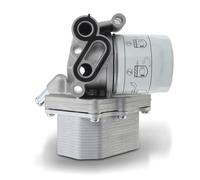 Frankberg Radiador de aceite Diesel Compatible con Tourneo Custom V362 Bus F3 2.2L Ducato Furgoneta 250 2.2L Transit V363 Bus FAD FBD 2.2L Transit Bus FB FC FD FS FZ 2.2L Boxer Bus 2.2L BK2Q6B624CB