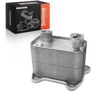 Frankberg Radiador de aceite Radiador de aceite del Motor Compatible con Clase M W163 ML 270 CDi Clase E T-Model S210 E 320 T CDi Clase E W210 E 320 CDi Replace# 6131880101,A6131880101