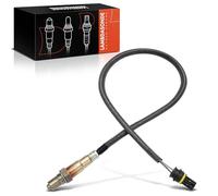 Frankberg Sensor Lambda A0025400617