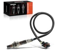 Frankberg Sensor Lambda antes/después del convertidor catalítico 250-24571