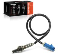 Frankberg Sensor Lambda después del convertidor catalítico 250-24903