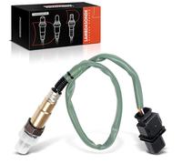 Frankberg Sonda de control Lambda 250-25043