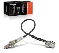 Frankberg Sonda de control Lambda ES20338