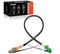 Frankberg Sonda lambda Sonda de diagnóstico Compatible con 206 CC 2D 307 Break 3E 206 Compacto 2A/C C2 JM C3 I FC FN Replace# 0258006027