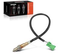 Frankberg Sonda lambda Sonda de diagnóstico Compatible con 207 WA WC 206 Compacto 2A/C 307 3A/C 206 SW 2E/K 1007 KM Replace# 250-24811