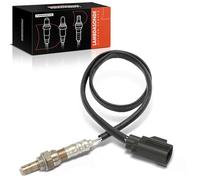 Frankberg Sonda Lambda Sonda de diagnóstico Compatible con C70 I Cabriolet 2.4L 1999-1999 S60 I 2.4L 2000-2010 V70 I 875 876 2.4L 1995-1999 V70 II SW 2.4L 2001-2007 Replace# 8627202