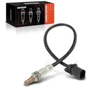 Frankberg Sonda lambda Sonda de diagnóstico Compatible con Ducato Plataforma/Chasis 250 Ducato Furgoneta 250 Ducato Bus 250 Replace# 51887521