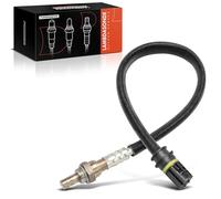 Frankberg Sonda lambda Sonda de diagnóstico Compatible con Serie 3 cabrio E46 Serie 3 E46 Serie 5 E39 Serie 5 E60 Serie 3 Touring E46 Replace#