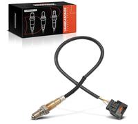 Frankberg Sonda lambda Sonda de diagnóstico Compatible con Vectra C Caravan Z02 Signum Z03 Vectra C CC Z02 Vectra C Z02 Replace# 250-25010