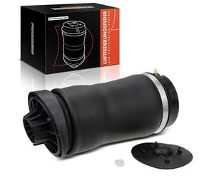 Frankberg Suspensión neumática, resorte neumático, fuelle de resorte | Compatible con: Clase R V251 W251