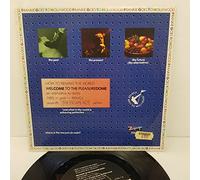 FRANKIE GOES TO HOLLYWOOD, welcome to the pleasure dome (altered real), B side get it on + happy hi!, ZTAS 7, 7" single