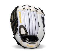Franklin Sports Fastpitch Softball Glove - Fastpitch Pro - Adult and Y