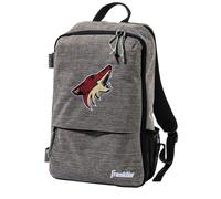 Franklin Sports Mochila Phoenix Coyotes Street Pack - Bolsas oficiales para equipos de hockey de la NHL - Mochila de hockey gris - Logotipos y co