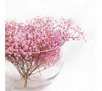 FranquiHogar - Florero Esfera de Cristal Multifuncional - 29 cm Diámetro, 19 cm Altura, 7 mm Grosor - Artesanal, Versátil para Hidroponía, Pecera, Frutero, Cubitera, Transparente, Vidrio