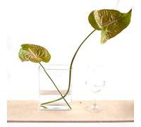 FranquiHogar - Florero Rectangular de Vidrio para Decoración y Cultivo Hidropónico - Hecho a Mano, Versátil en Uso, Disponible en 3 Tamaños, 2,5 L, Cristal