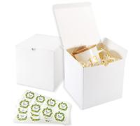 Frantis Cajas de regalo blancas de 5 x 5 pulgadas, 20 unidades de caja de regalo cuadrada con tapas para regalos, cajas de magdalenas, manualidades, cajas de fácil montaje para fiestas