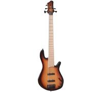 Franz Bassguitars Merak 5 Honey Burst