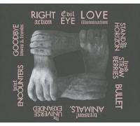 Franz Ferdinand – Right Thoughts, Right Words, Right Action – CD – Importación USA
