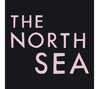 Franz Ferdinand - The North Sea [Vinilo]