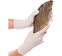 Franz Mensch Hygostar Allfood Safe 26151 Hand Grip M M White