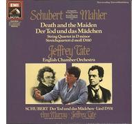 Franz Schubert - Death And The Maiden
