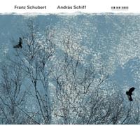 Franz Schubert Franz Schubert: Andras Schiff (CD) Album (Importación USA)
