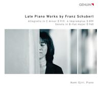 Franz Schubert Late Piano Works By Franz Schubert (CD) Album (Importación USA)