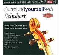 Franz Schubert : Musique de chambre [DVD de Audio]